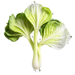 Crisp bok choy leaves fluttering white stems slicing water droplets midair Brassica rapa subsp chinensis