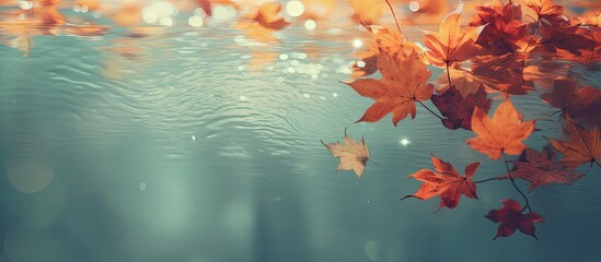 Aufkleber - Autumn time a season characterized by falling leaves cool temperatures and earthy colors is perfect for capturing a copy space image