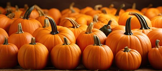 Poster - A copy space image of pumpkins creating a perfect background for thanksgiving christmas and halloween themes