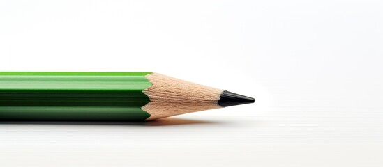 Aufkleber - Close up copy space image of an artistic black green color pencil drawing on white paper highlighting the wooden texture
