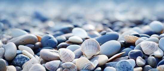 Aufkleber - Copy space image of shells scattered on a rocky beach