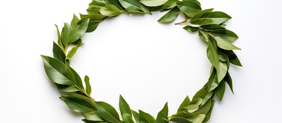 Fototapete - Dried laurel leaf seasoning showcased in a copy space image an isolated wreath made of laurel leaves on a white background