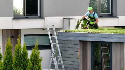 Wall Mural - Gardener Working on a Green Roof