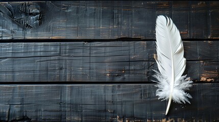 Wall Mural - White feather on dark wooden floor, softly focused, captured simplistically