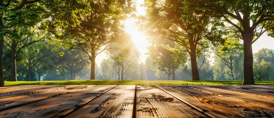 Wall Mural - Sunlit Forest Park with Wooden Table, Perfect for a Summer Picnic, Rays of Sun Through the Leaves