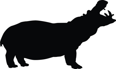 silhouette of a hippo isolated on white. illustration of hippopotalamus animal in wildlife