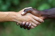 © D - Unity and Diversity Concept: Close-up Handshake in Natural Setting Perfect for Equality, Cooperation, and Friendship Themed Designs