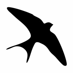 Wall Mural - black silhouette or illustration of a swallow