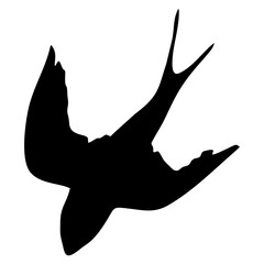 Wall Mural - black silhouette or illustration of a swallow