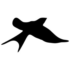 Wall Mural - black silhouette or illustration of a swallow