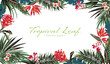 © okuni - トロピカル　リーフ　南国風　夏　フレーム　カード　背景　デザイン素材　ベクター