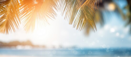 Poster - Sand with blurred Palm and tropical beach bokeh background Summer vacation and travel concept Copy space