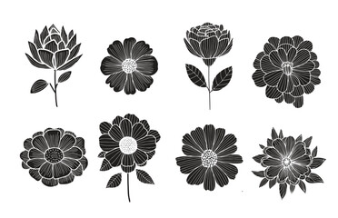 Wall Mural - Flowers vector icons. Flower icon. Flowers isolated on transparent background. Flowers in modern simple flat style. Eps10