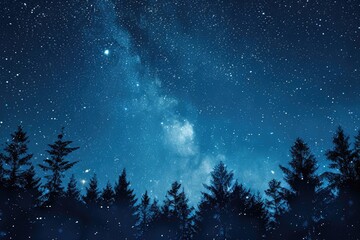 Wall Mural - Night Sky Star. Dark Blue Night Sky with Many Stars Above Field of Trees, Milky Way in Background