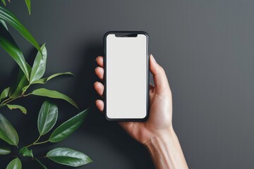 Holding Cellphone. Black Mobile Phone with White Display in Female Hand Isolated on Blank Background