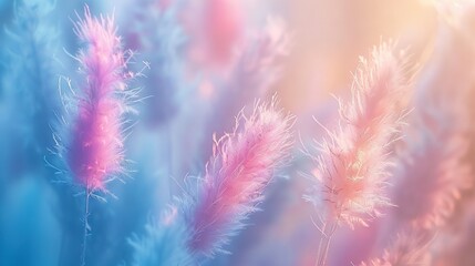 Poster -   A close-up of colorful flowers on a blue/pink background with a hazy light background