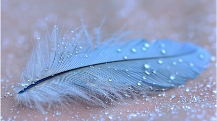 Wall Mural - a close-up of a blue feather with drops of water on the feather, the feathers are on the ground