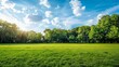 © chanidapa - An open grassy field in a public park, with well-kept grass and a backdrop of mature trees and blue sky.