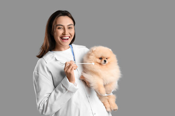 Sticker - Female veterinarian with cute Pomeranian dog and toothbrush on grey background