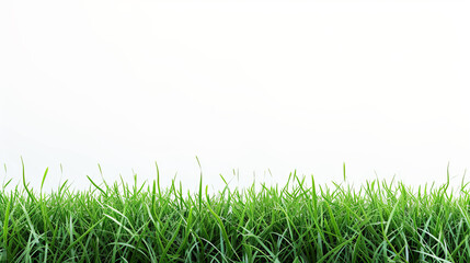 Wall Mural - lush green grass at the bottom, fading into a clean white background, concept of growth or nature. g