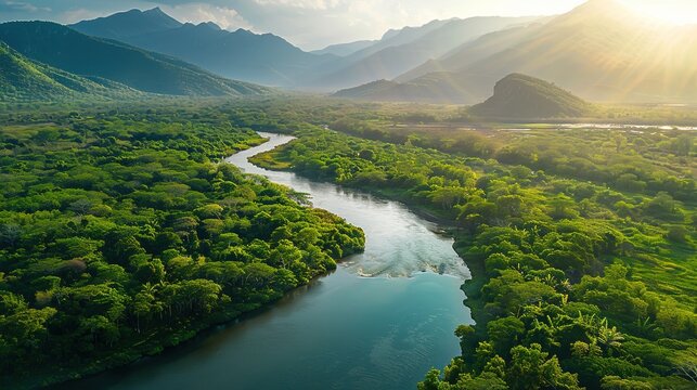 Aerial view of a tropical river winding through a lush green forest. Tropical paradise: aerial photo of a pristine river and mountain range.	