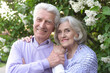 © aletia2011 - Portrait of beautiful senior couple by lilacs in the park
