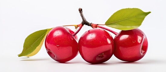 Poster - close up of an isolated acerola cherry against a white backdrop with selective focus highlighting th