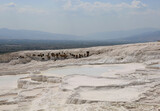 Fototapeta Lawenda - Natural thermal pools surrounded by white limestone in Pamukkale, Denizli, Turkey