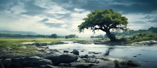 Wall Mural - breathtaking scene beneath an ancient tree overlooking a cloudy sky beside a wild river ideal for a 