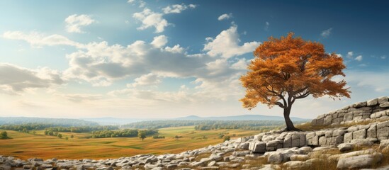 Wall Mural - During a fall day there is an upland landscape featuring limestone rocks with a tree on top creating a picturesque scene with a copy space image