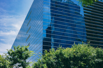 Office buildings and green tree. Sustainble green building.