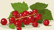 © Shanti - A red group of berries rests atop an emerald foliage branch, with an accompanying green leaf beside it