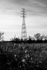 Electricity pylon in a natural landscape in grayscale