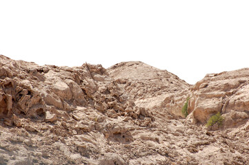 Wall Mural - rocky soil in the ground