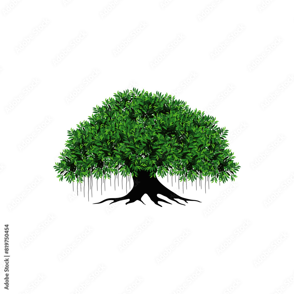 Banyan Tree vector illustration isolated on white background Stock ...