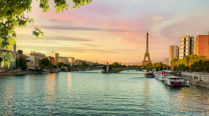 Wall Mural - great seine river in paris