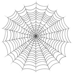 spider web black color only