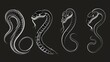 © Ева Поликарпова - Image of three snakes on a dark background. Suitable for educational materials