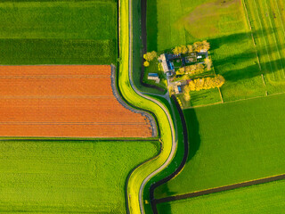 Wall Mural - an aerial view of a road with curves. road through the field. image for wallpaper, background, desig