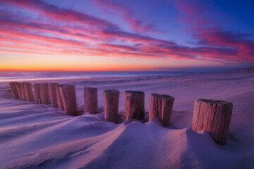 Wall Mural - seascape during sunrise. logs in the sand. bright sky during sunset. a sandy beach at low tide. wall