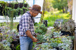 © Akarawut - Asian gardener is working inside the greenhouse full of succulent plants collection while checking under leaf for pest and disease for ornamental garden and leisure hobby
