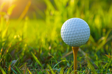 Wall Mural - Golf ball is on tee at green lawn in a beautiful golf course with morning sunshine.