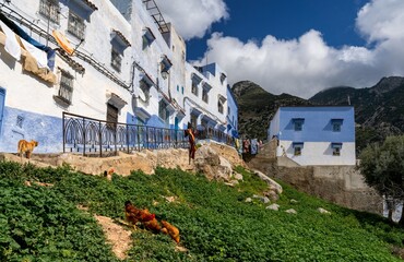 Sticker - view of the colourful blue hillside town of Chefchauouen in the Rif mountain range of northern Morocco