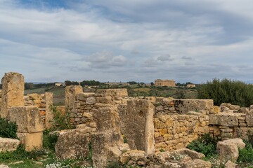 Canvas Print - view of Temple E and  Temple F at Selinunte in Sicily