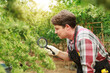 © Have a nice day  - Marijuana cannabis plant farmer inspecting plants health with magnifying glass for medical science use, male caucasian indoor grown hemp weed tree, nature greenhouse, healthcare medicine treatment.