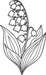 Wall Mural - Lily of the valley flower drawing illustration. Black and white tattoo with lily of the valley, line art on white backgrounds, stock outline lily valley flower, freesh lily of the vally flower drawin