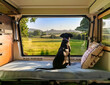 © JFsPic - Adventure on four paws: dog enjoys the view from the motorhome