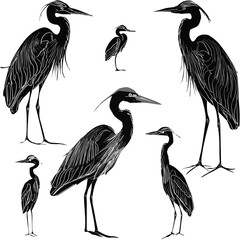 Wall Mural - seven herons sketches collection isolated on white