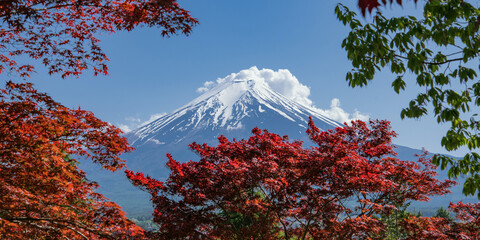 Wall Mural - 富士山と紅葉した秋のもみじ　Mountain Fuji and autumn red maple leaves in Japan 