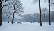 A Tranquil Park Covered In Snow During Winter, Featuring Bare Trees And A Solitary Bench Under A Gloomy Sky